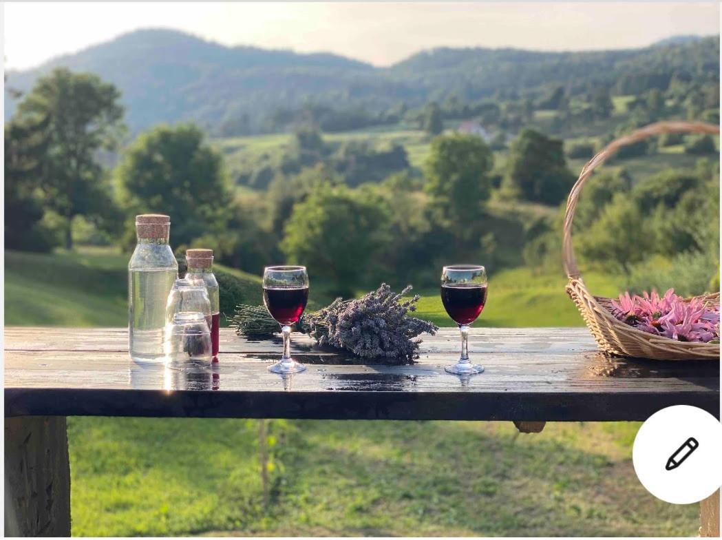 Lovely Apartment In Nature With Sauna! Postojna Zewnętrze zdjęcie